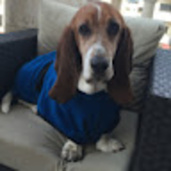 Meet your Posher, Iisha - Picture 1 of 1